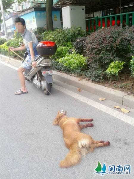 หนุ่มจีนโหด ผูกสุนัขกับมอเตอร์ไซค์ ลากไปตามถนน