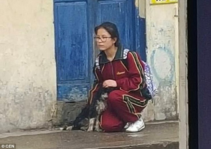 ภาพประทับใจ! เด็กสาวเปรูใช้เสื้อกันฝนตกหนักให้สุนัขจรจัด