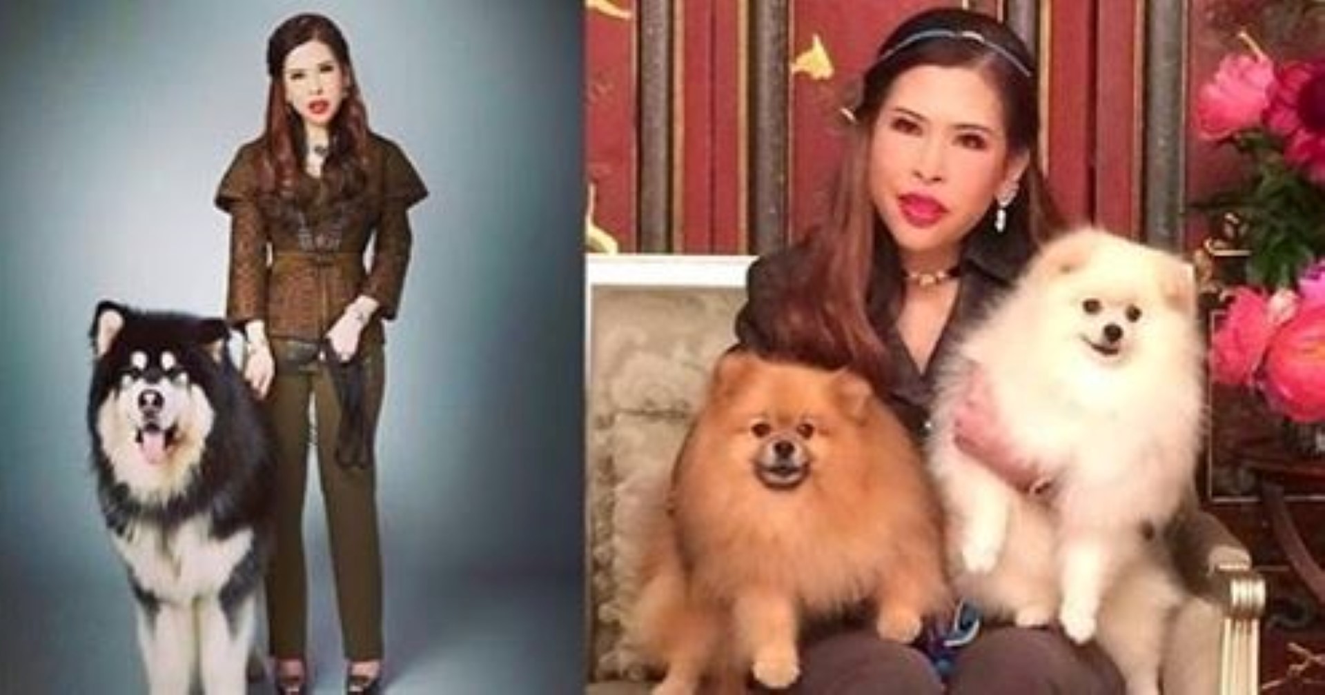 เจ้าฟ้าหญิงจุฬาภรณฯ ทรงตั้งพระราชปณิธาน..ลดปัญหาสุนัขจรจัด..กวาดล้างโรคพิษสุนัขบ้าในไทย