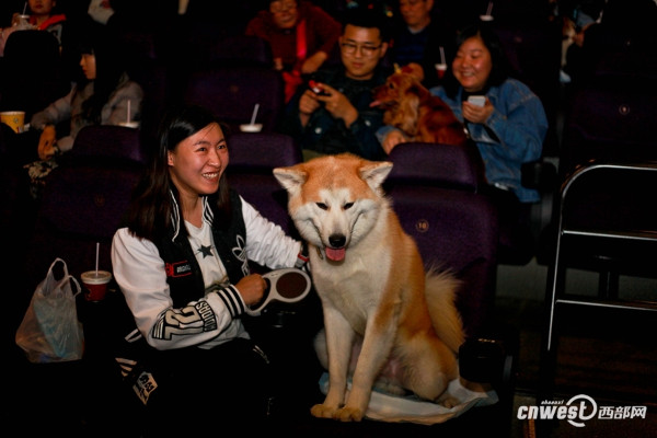 จีนเปิดตัวโรงภาพยนตร์สำหรับคนรักหมา อนุญาตให้พาคุณตูบเข้าร่วมดูหนังได้ (ชมภาพ)