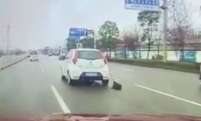 2 หญิงโหด จับหมามัดติดท้ายรถ ขับลากถนน พลเมืองดีช่วยส่งรพ.จนรอดมาได้