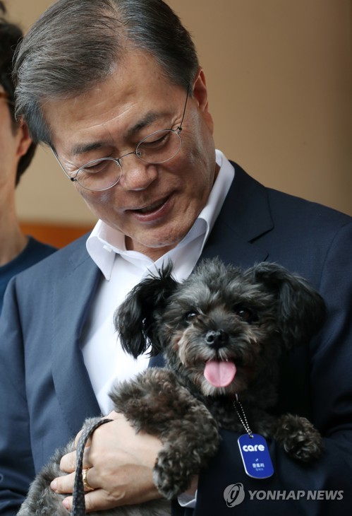 ประธานาธิบดีเกาหลีใต้ รับอุปการะสุนัขจากศูนย์พักพิง มาเป็นสุนัขประจำตำแหน่ง