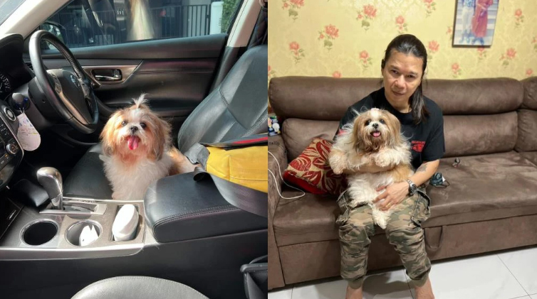 อุทาหรณ์! พาน้องหมาไปอาบน้ำ-ตัดขน กลับมาน้องตาบอด พนักงานรับทำน้องตกโต๊ะ