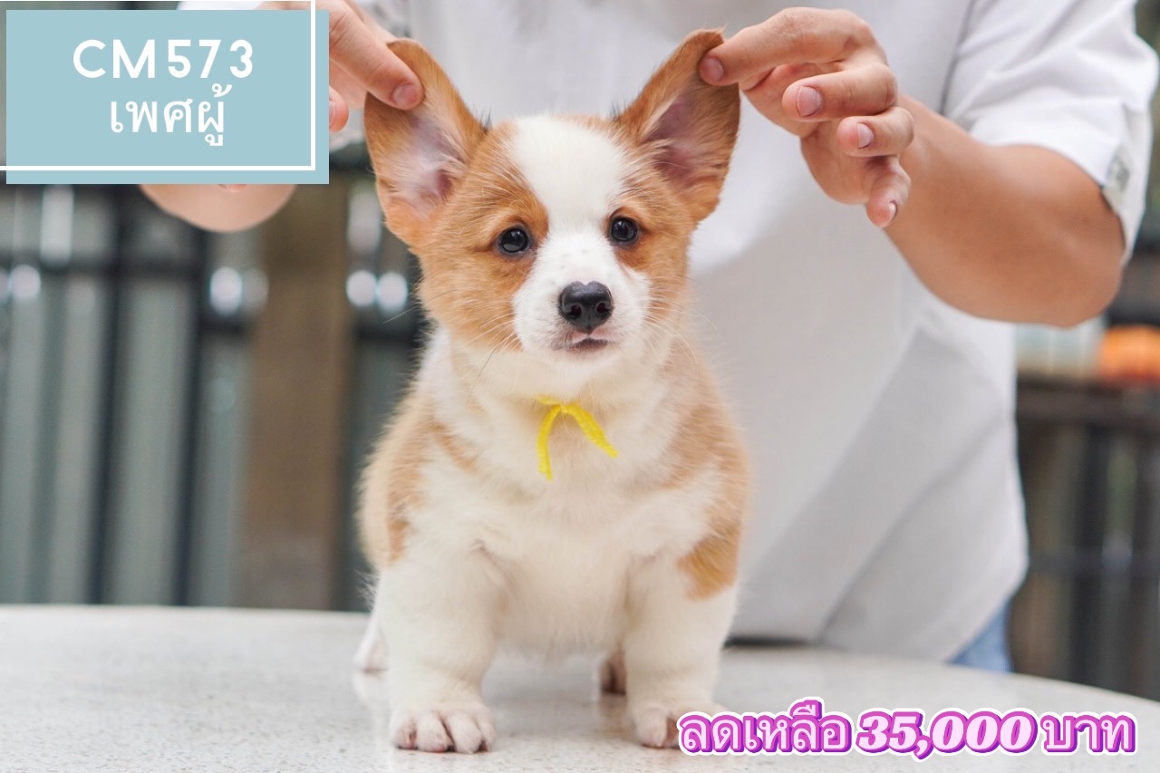 ลูก