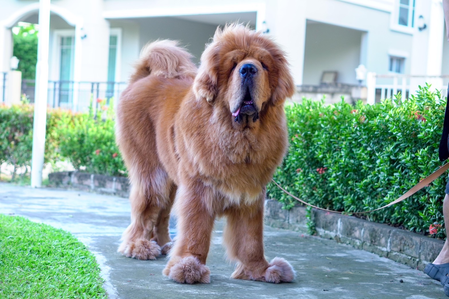 นาทีทอง