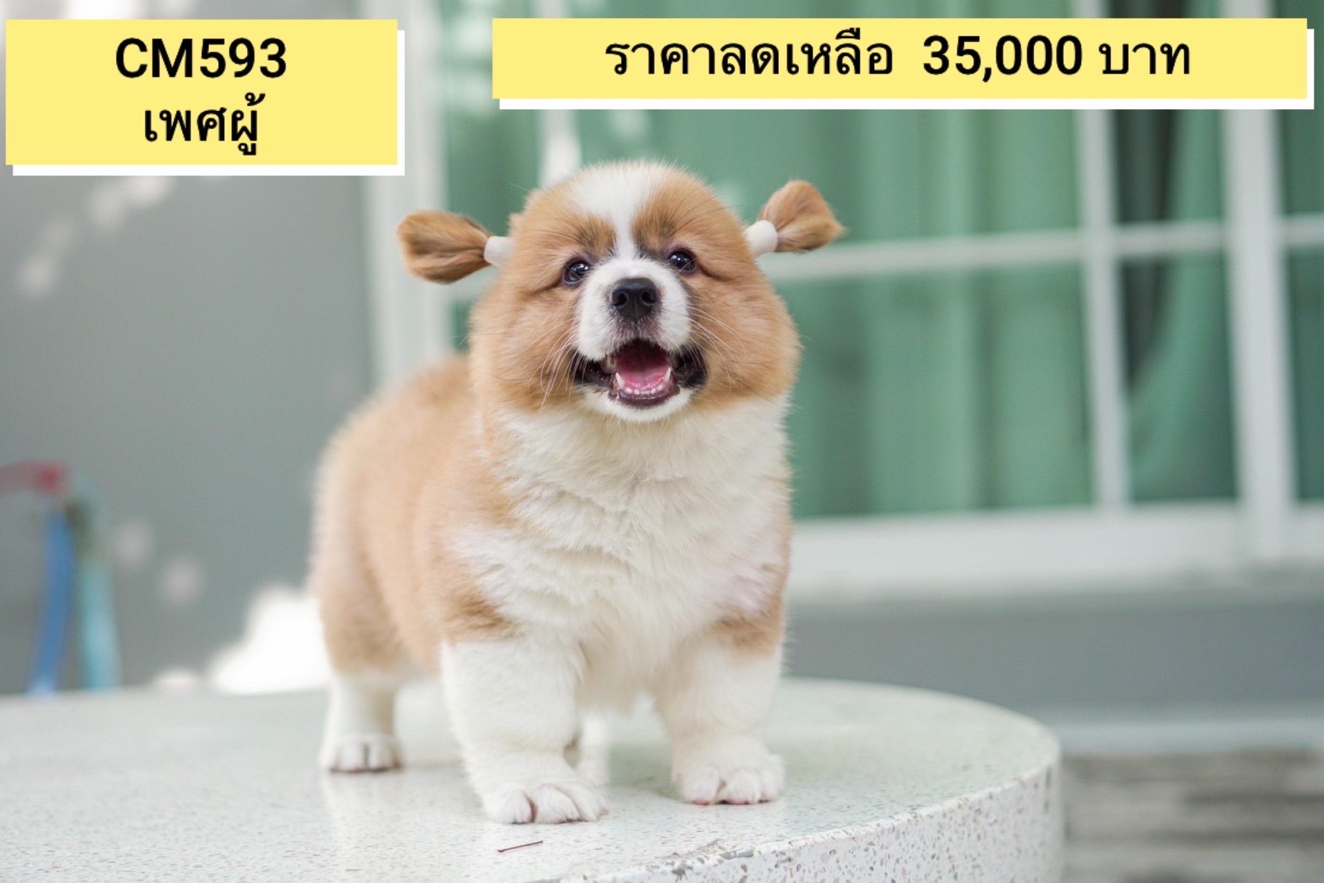 ลูก