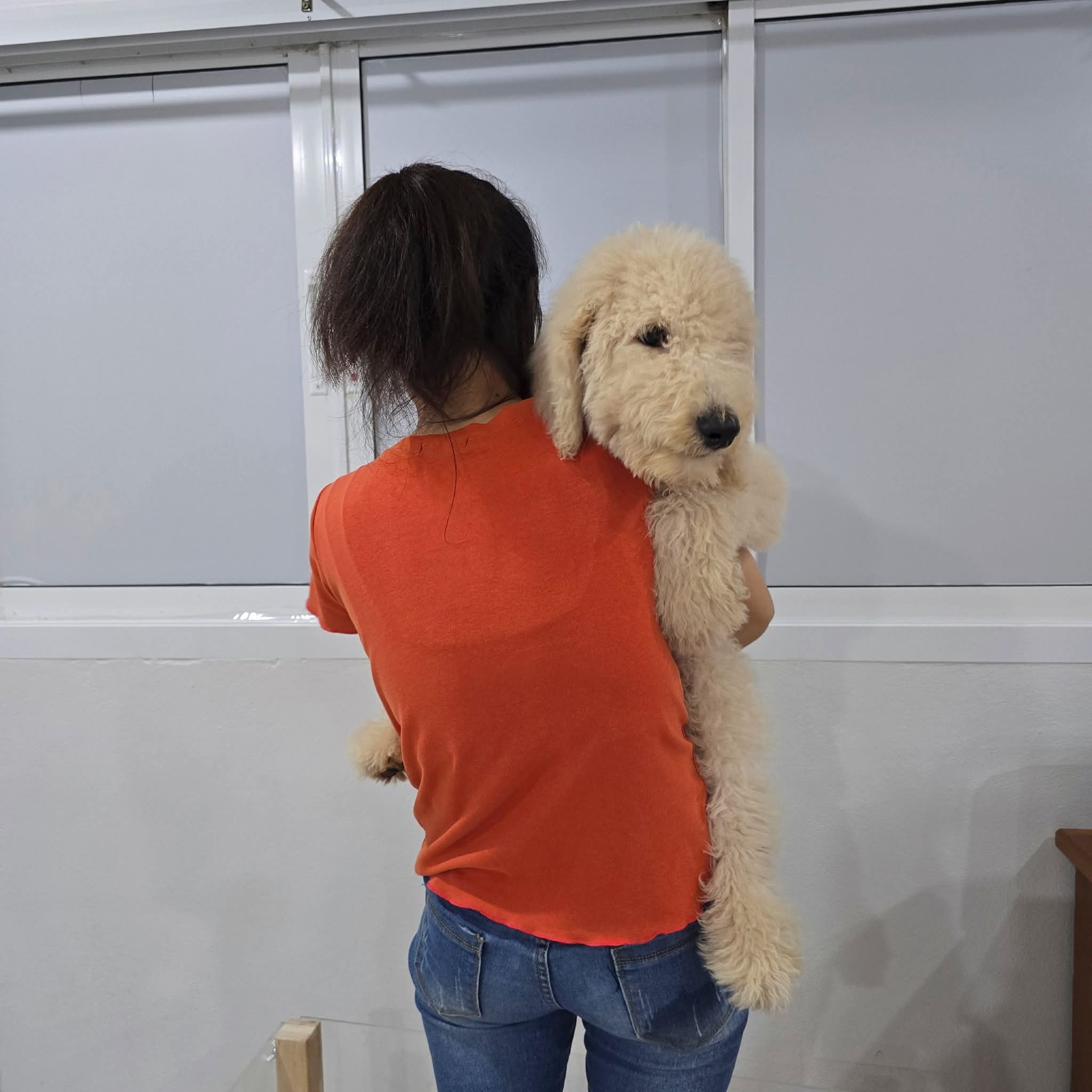 ไจแอนท์