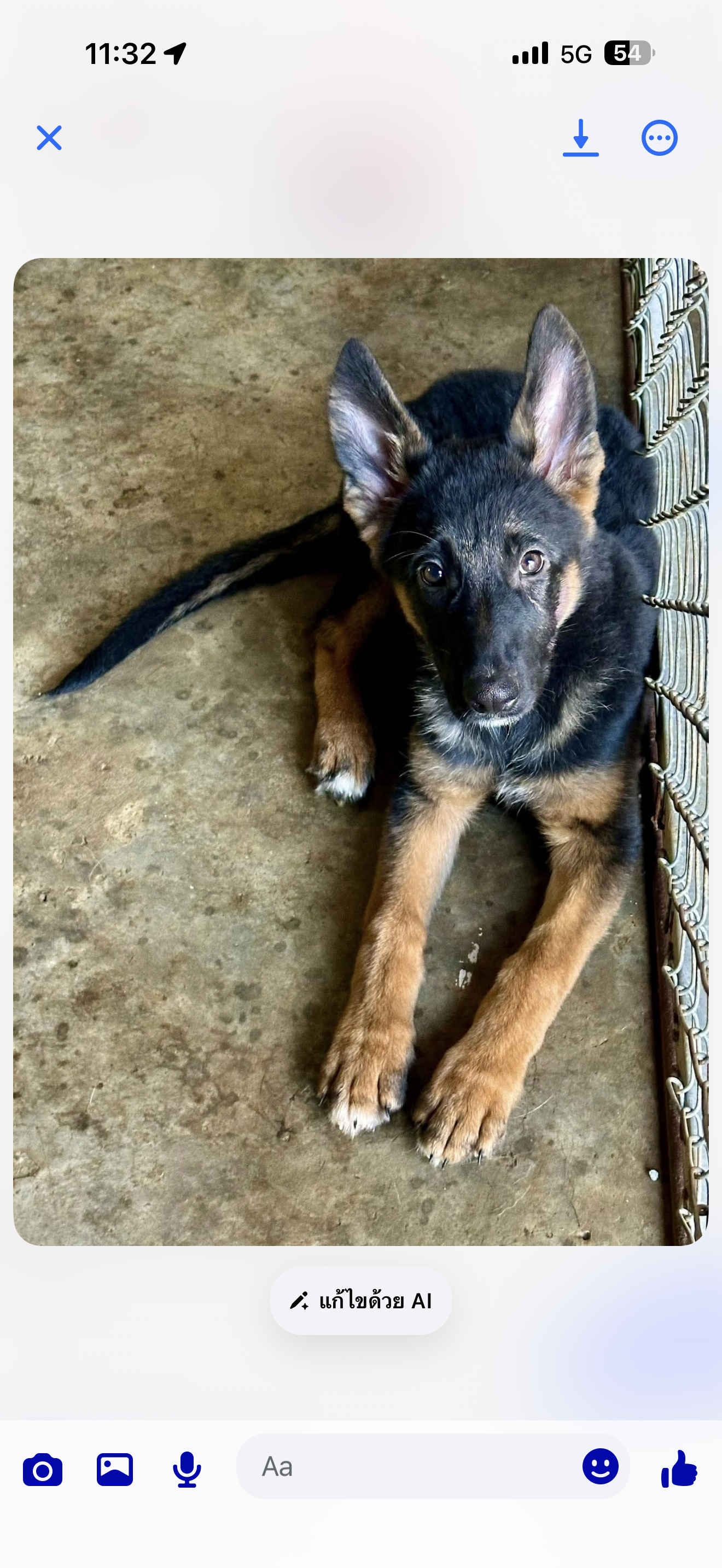 เยอรมันเชพเพิร์ด